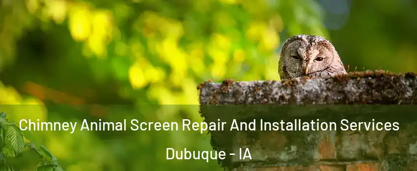  Chimney Animal Screen Repair And Installation Services Dubuque - IA