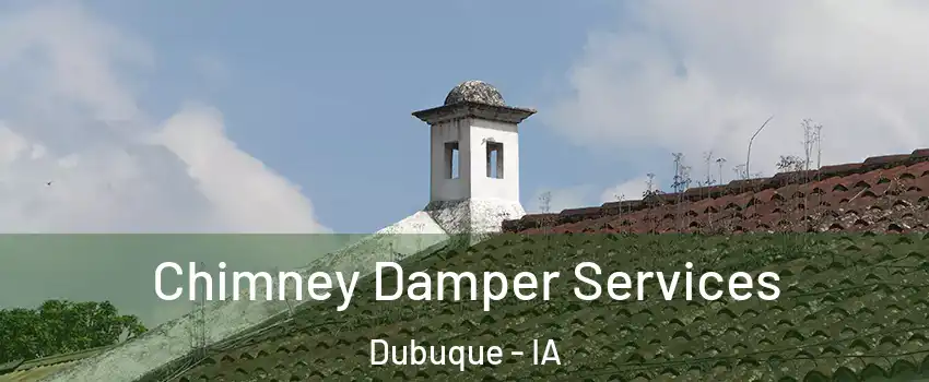  Chimney Damper Services Dubuque - IA