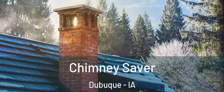  Chimney Saver Dubuque - IA