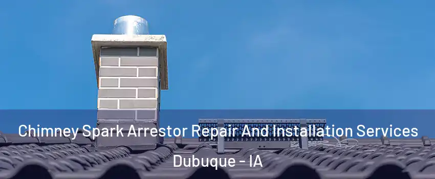  Chimney Spark Arrestor Repair And Installation Services Dubuque - IA