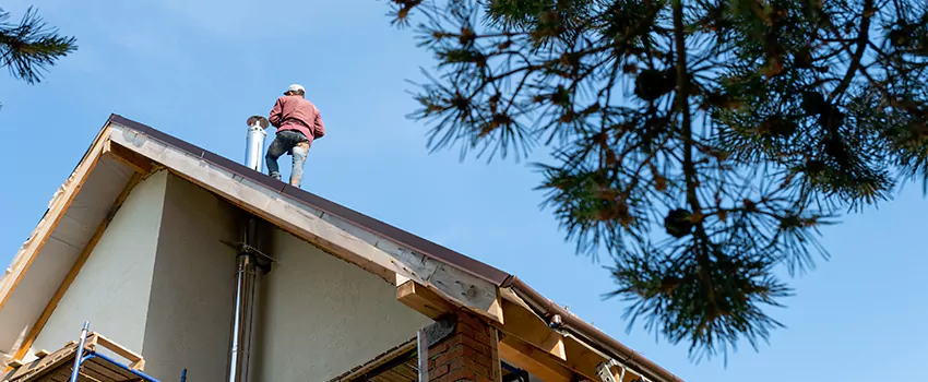 Birds Removal Contractors from Chimney in Dubuque, IA