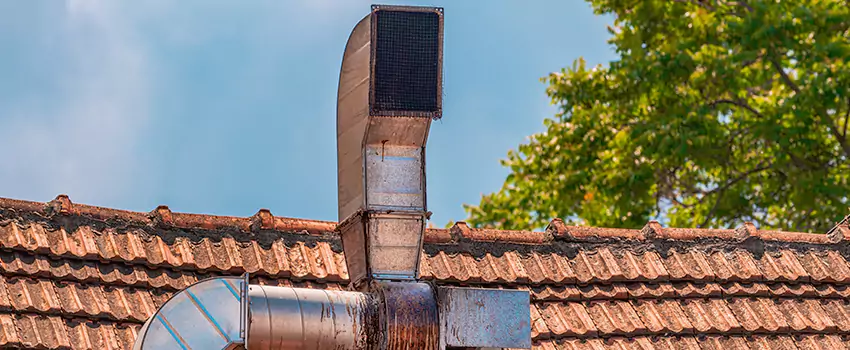 Chimney Blockage Removal in Dubuque, Iowa