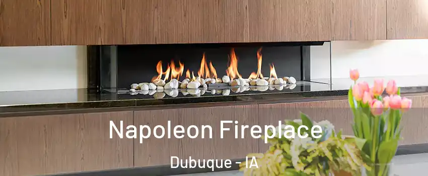  Napoleon Fireplace Dubuque - IA